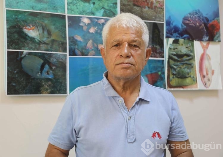 Düden'de kirlilikten sonra sevindiren endemik gözlem