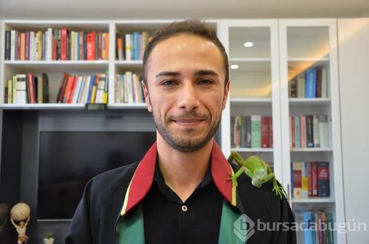 İguana hukuk bürosunda maskot oldu