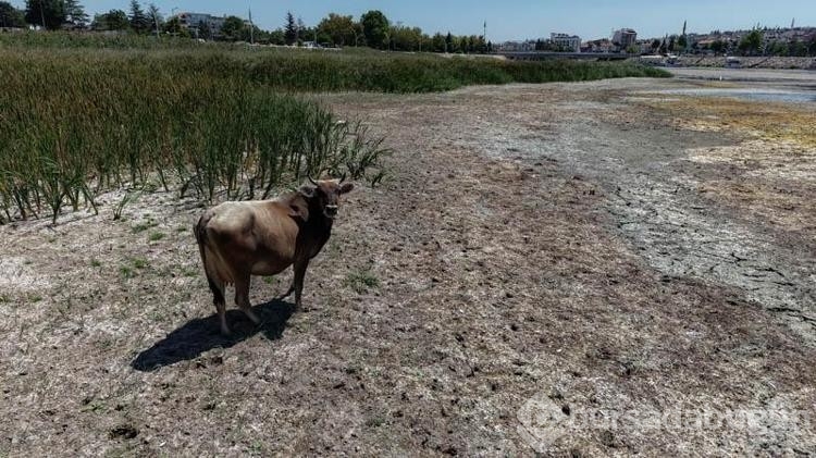 Beyşehir Gölü vefat etti