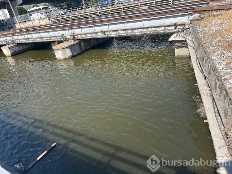 İzmir Körfezi'ndeki pis koku yeniden ortaya çıktı
