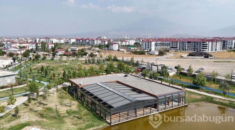 Iğdır'da skandallar zinciri! Millet bahçesini akrabalarına kiraya verdiler