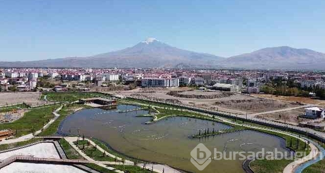 Iğdır'da skandallar zinciri! Millet bahçesini akrabalarına kiraya verdiler