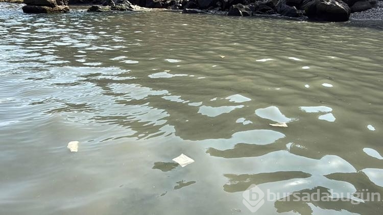 Amasra'da kanalizasyon suyunun denize akmasına vatandaşlar tepki gösterdi