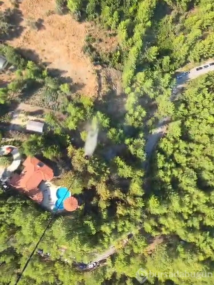 Park halindeki otomobilde çıkan yangın ormana da sıçradı