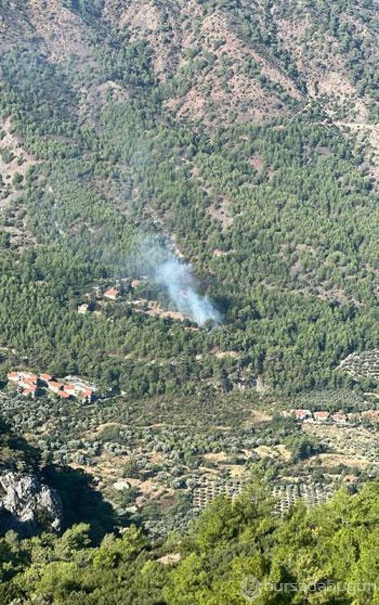 Park halindeki otomobilde çıkan yangın ormana da sıçradı