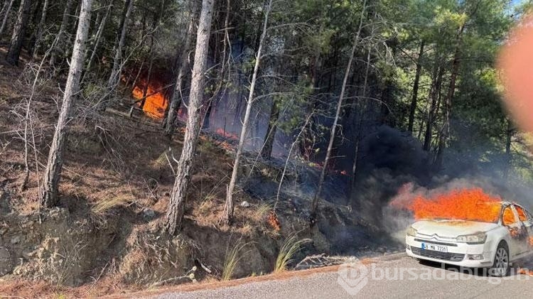 Park halindeki otomobilde çıkan yangın ormana da sıçradı