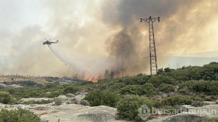 Gelibolu yangınında zarar görmeyen ceviz bahçesi dronla görüntülendi