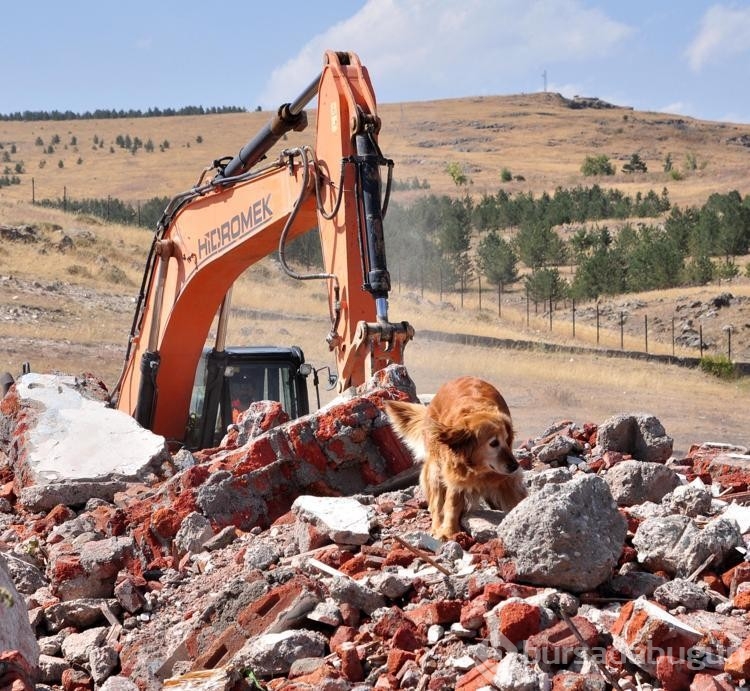 Kars'ta AFAD'dan gerçeğini aratmayan deprem tatbikatı
