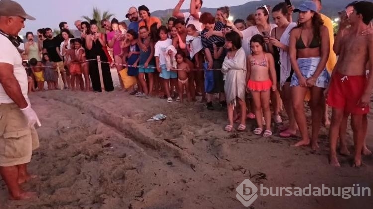 Kuşadası'nda caretta caretta yavruları denizle buluştu
