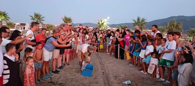 Kuşadası'nda caretta caretta yavruları denizle buluştu
