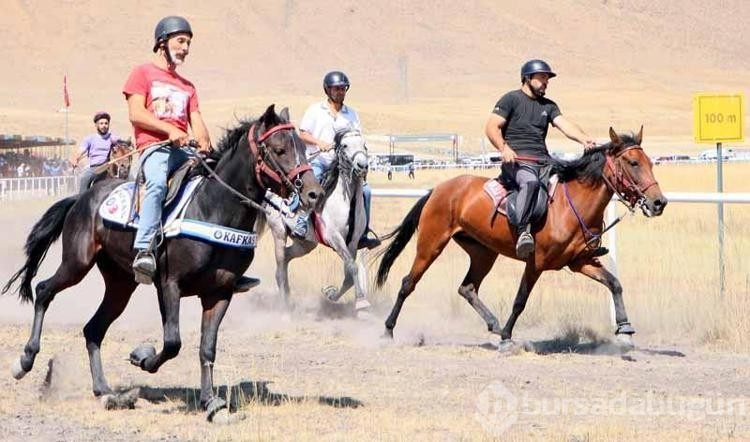 Rahvan atlar tozu dumana kattı