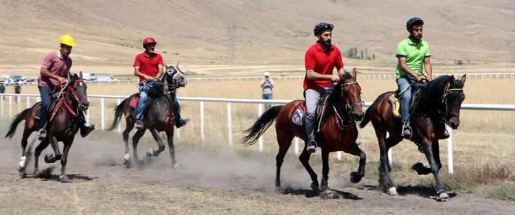 Rahvan atlar tozu dumana kattı