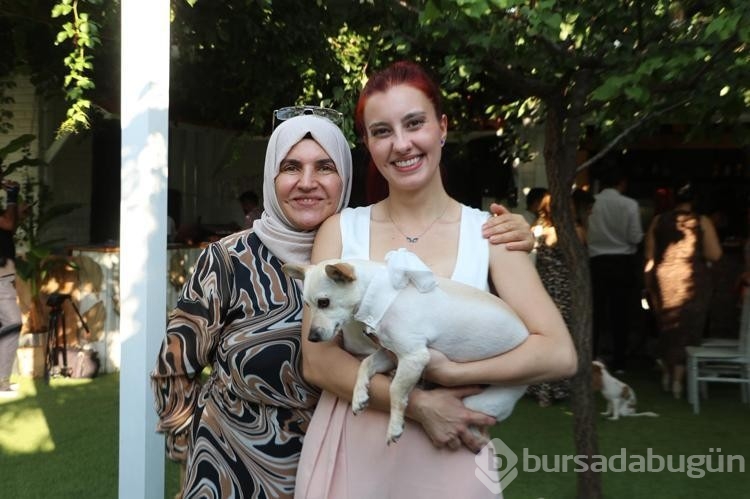 Köpeğini gezdirirken Kangalların saldırısına uğradı