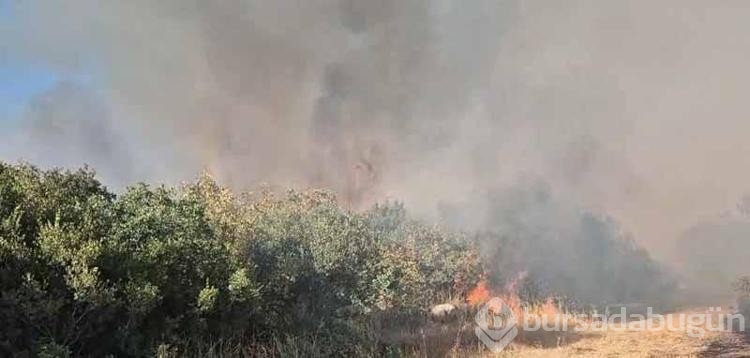 Balıkesir'de orman yangını
