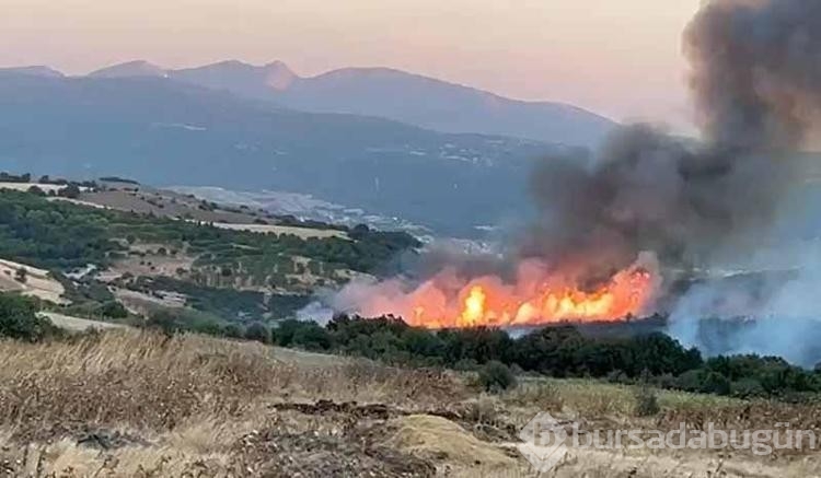 Balıkesir'de orman yangını

