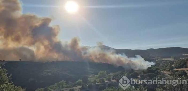 Balıkesir'de orman yangını

