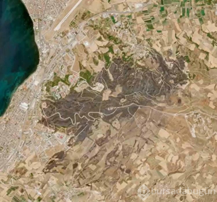 Çanakkale'deki orman yangınlarının verdiği zarar uydu fotoğraflarıyla gözler önüne serildi
