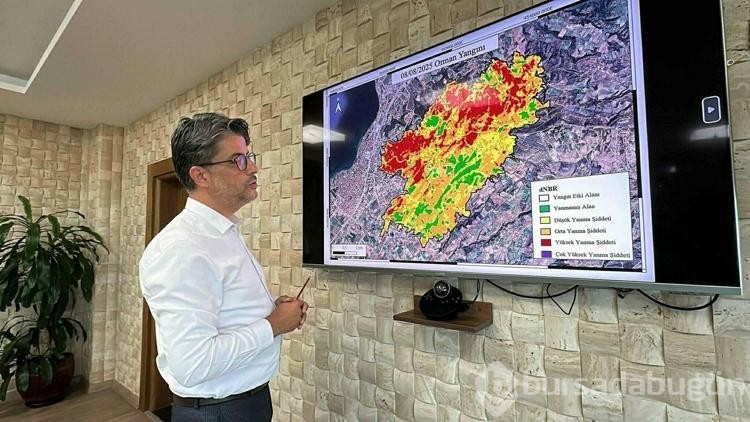 Çanakkale'deki orman yangınlarının verdiği zarar uydu fotoğraflarıyla gözler önüne serildi
