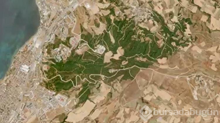 Çanakkale'deki orman yangınlarının verdiği zarar uydu fotoğraflarıyla gözler önüne serildi
