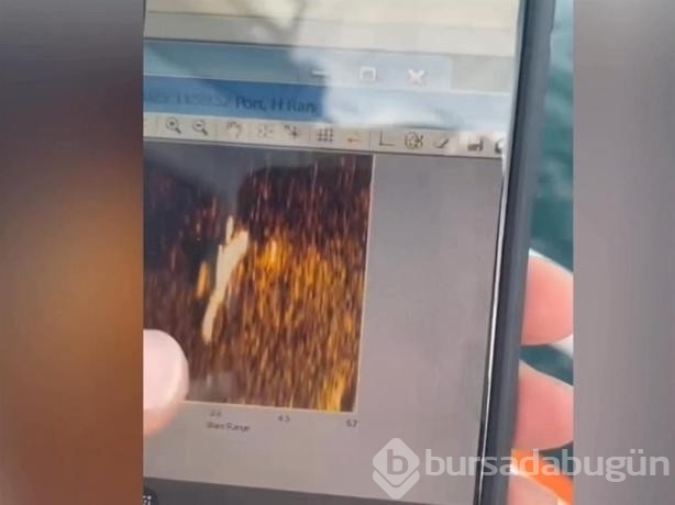 Halit Yukay'ın cansız bedeninin çıkarılması için Deniz Kuvvetleri dalgıçları bekleniyor
