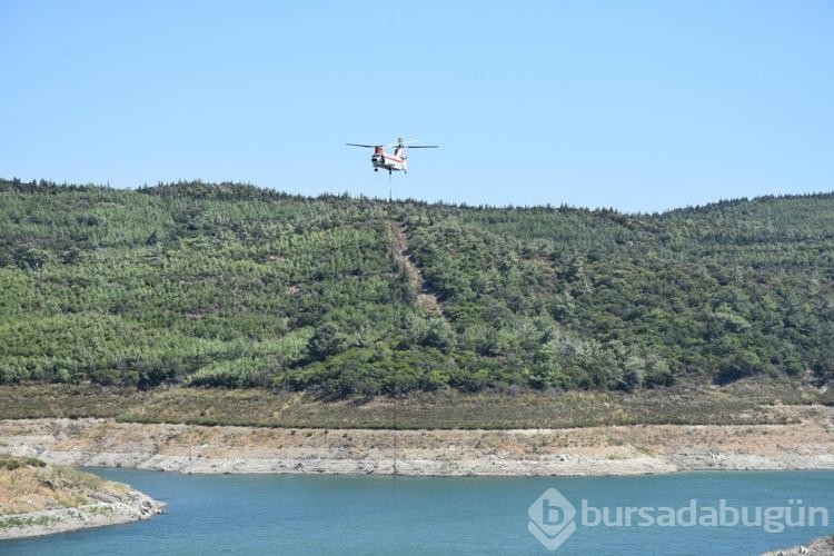 İzmir'de orman yangını
