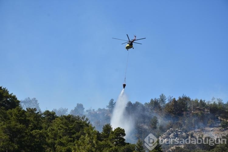 İzmir'de orman yangını
