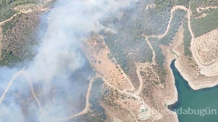 İzmir'de orman yangını
