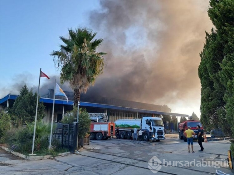 Antalya'da soğuk hava deposu ve imalathanede yangın

