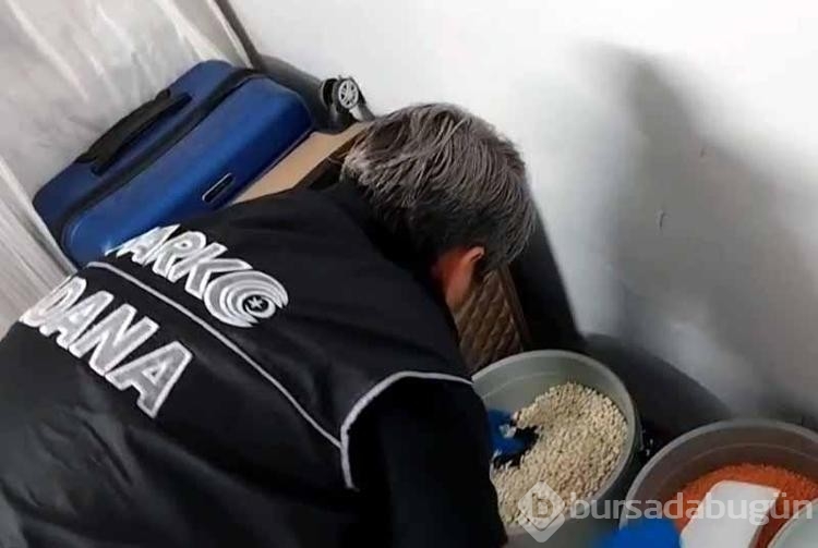 Kilerde ki kuru fasulye kovasından çıkan şey şaşırttı...