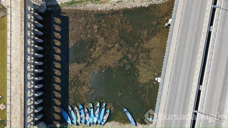 'Beyşehir Gölü'nün ölmesine seyirci kalmayız' dedi
