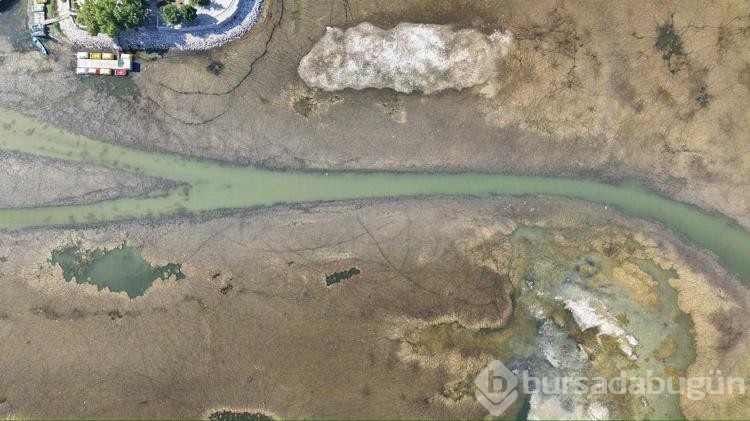 'Beyşehir Gölü'nün ölmesine seyirci kalmayız' dedi
