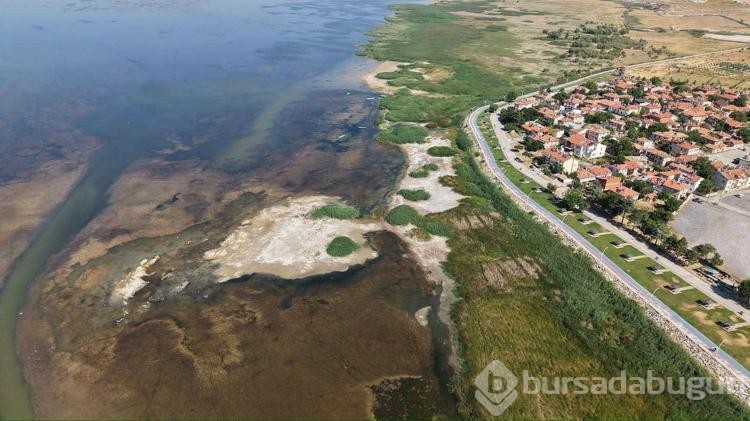 'Beyşehir Gölü'nün ölmesine seyirci kalmayız' dedi
