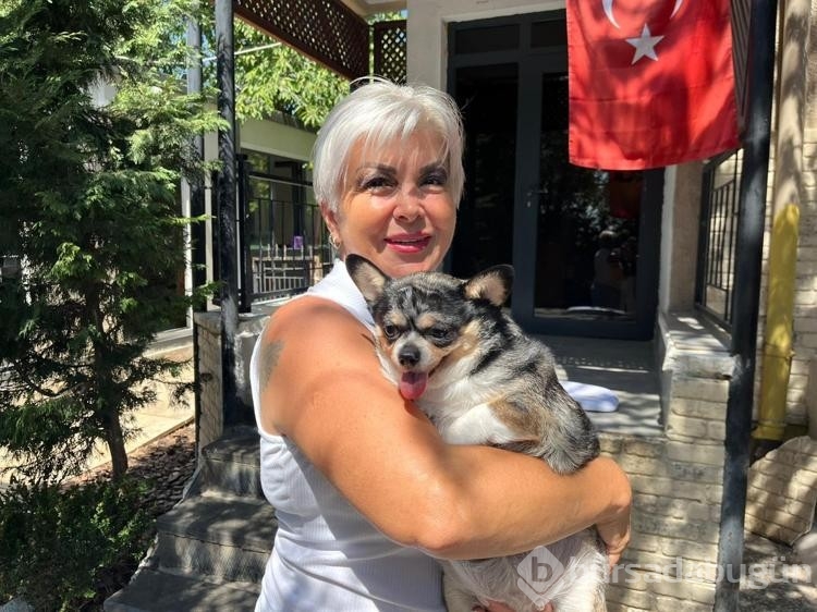 Görme engelli obez köpek pilates sayesinde zayıflıyor