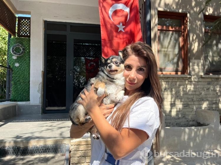 Görme engelli obez köpek pilates sayesinde zayıflıyor