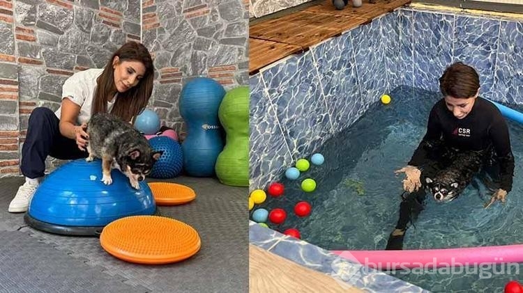 Görme engelli obez köpek pilates sayesinde zayıflıyor