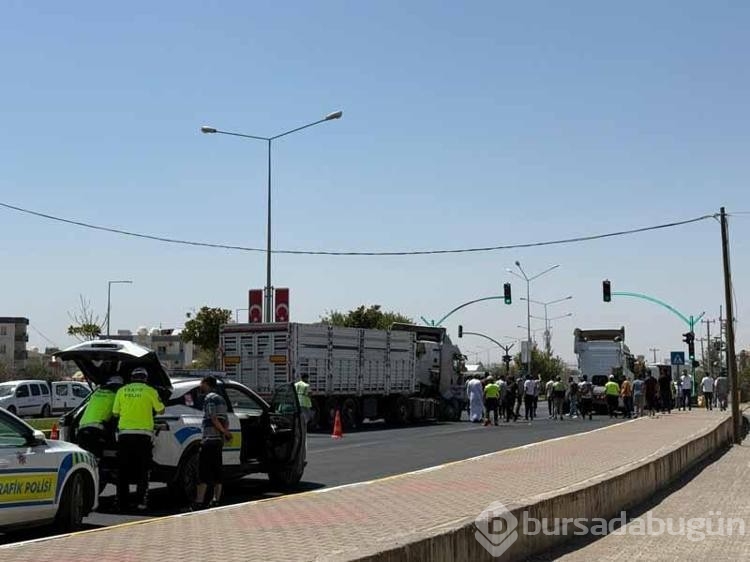 Mardin'de 5 araç zincirleme kazaya karıştı
