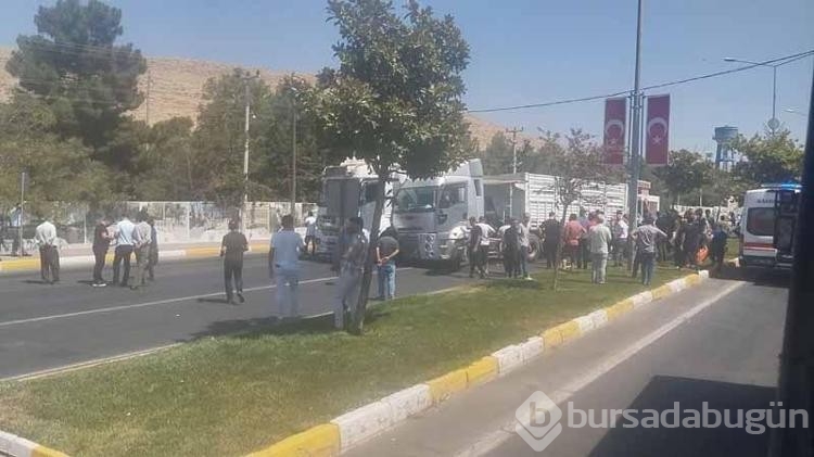 Mardin'de 5 araç zincirleme kazaya karıştı

