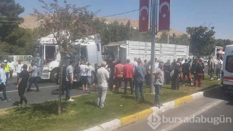 Mardin'de 5 araç zincirleme kazaya karıştı
