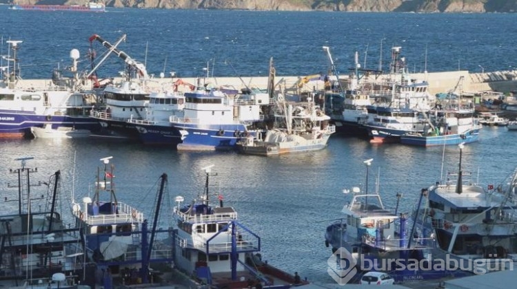 Balıkçılar 1 Eylül'deki yeni av sezonundan umutlu