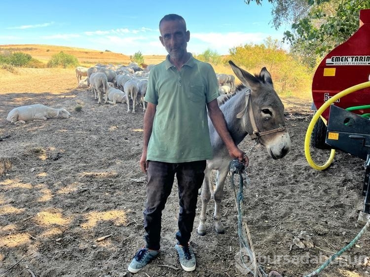 Edirne'de otogarın maskotu 'Kadife', sahibine kavuştu

