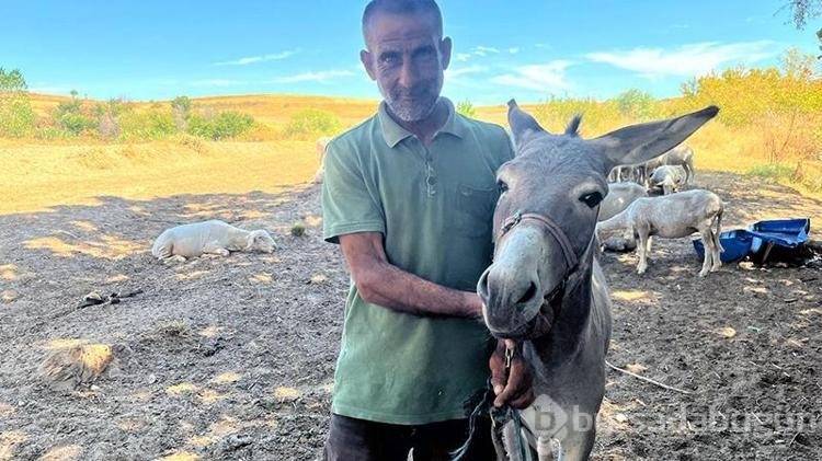 Edirne'de otogarın maskotu 'Kadife', sahibine kavuştu
