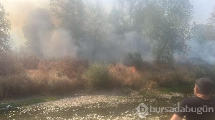 Bursa'da ot yangınında 20 dönüm alan zarar gördü