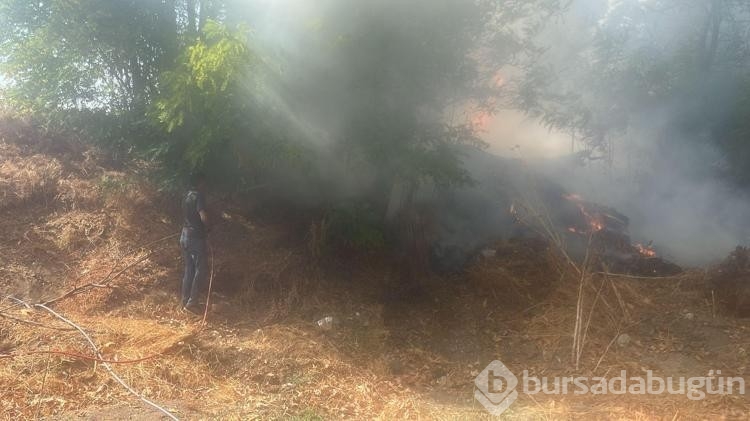 Bursa'da ot yangınında 20 dönüm alan zarar gördü