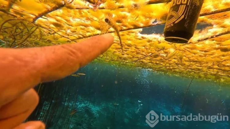 Antalya'nın içme suyu kaynağında çöp alarmı
