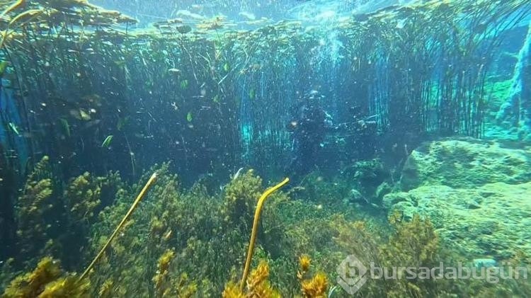 Antalya'nın içme suyu kaynağında çöp alarmı
