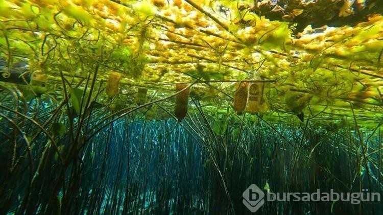 Antalya'nın içme suyu kaynağında çöp alarmı
