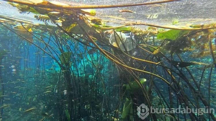 Antalya'nın içme suyu kaynağında çöp alarmı
