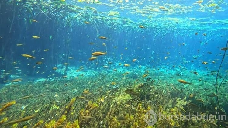 Antalya'nın içme suyu kaynağında çöp alarmı
