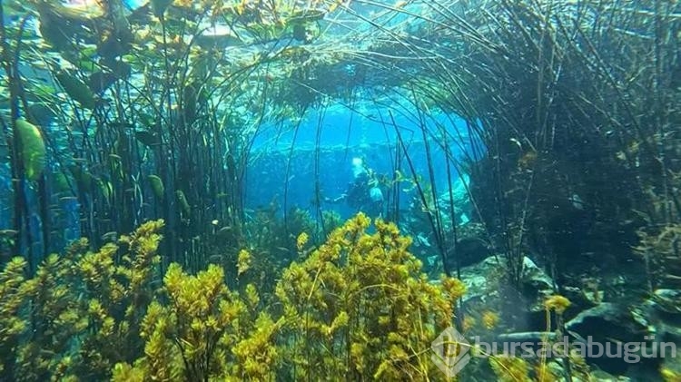 Antalya'nın içme suyu kaynağında çöp alarmı
