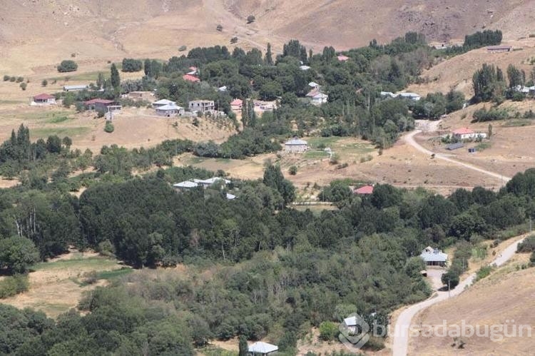 Hakkari'de köylülerden dağ keçilerine gönüllü koruma
